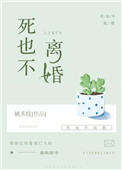 《死也不离婚》封面