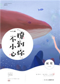 《一不小心撩到你》封面