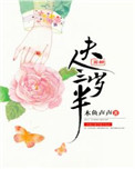 《夫人芳龄三岁半》封面