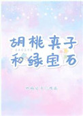 《胡桃夹子和绿宝石》封面