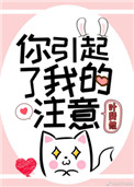 《你引起了我的注意》封面
