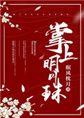 《掌上明月珠》封面