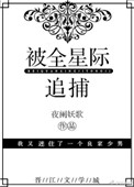 《被全星际追捕》封面