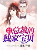 《重生盛宠：总裁的独家宝贝》封面