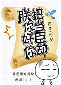 《朕把你当奸臣你却》封面
