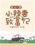 《重生八零：小辣妻致富记》封面