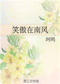 《笑傲在南风》封面