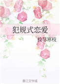 《犯规式恋爱》封面