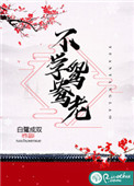 《不学鸳鸯老》封面