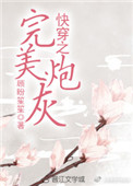 《快穿之完美炮灰》封面