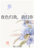 《夜色归我，我归你》封面