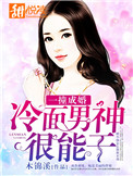 《一撞成婚：冷面男神很能干》封面