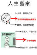 《单身狗的春天》封面
