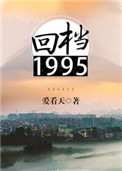 《回档1995》封面