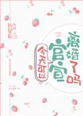 《今天可以官宣离婚了吗》封面