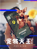 《宠物天王》封面