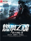 《燃钢之魂》封面