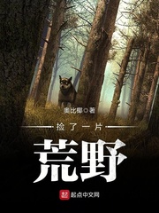 《捡了一片荒野》封面
