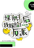 《与男主离婚后嫁给反派》封面