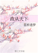 《政从天下》封面