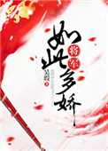 《将军如此多娇》封面