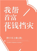 《我帮首富花钱挡灾》封面