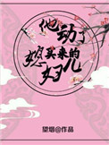 《他动了买来的媳妇儿》封面