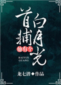 《首辅他有个白月光》封面