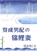 《穿成男配的锦鲤妻》封面