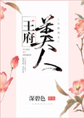 《王府美人》封面