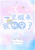 《一觉醒来我怀孕了》封面