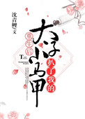 《重生后太子扒了我的小马甲》封面