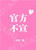 《官方不宣[娱乐圈]》封面