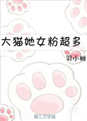 《大猫她女粉超多》封面