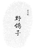 《野鸽子》封面