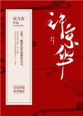 《京华郡主》封面