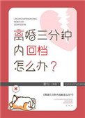 《离婚三分钟内回档怎么办》封面