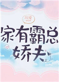 《家有霸总娇夫（女尊）》封面