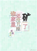 《谁家里还没几座矿了》封面