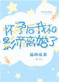 《怀孕后我和影帝离婚了》封面