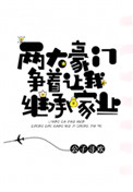 《两大豪门争着让我继承家业》封面