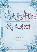 《消失九年后我又红了》封面