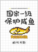 《国家一级保护咸鱼》封面