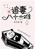 《追妻八十一难》封面