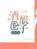 《酒酿圆子好甜呀》封面