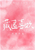 《藏匿喜欢》封面