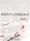 《穿成年代文的极品炮灰》封面