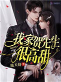 《我家贺先生很高甜》封面