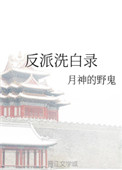《反派洗白录》封面