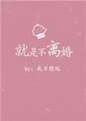 《就是不离婚》封面